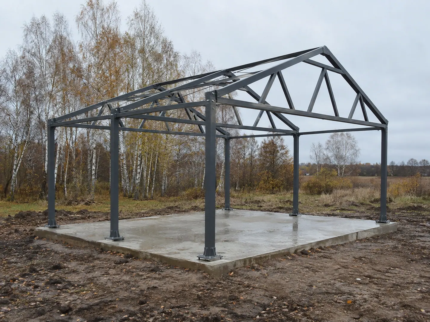 Облегчённый каркас шириной 6 м, визуализация 6 × 6 м · H 2,4 м