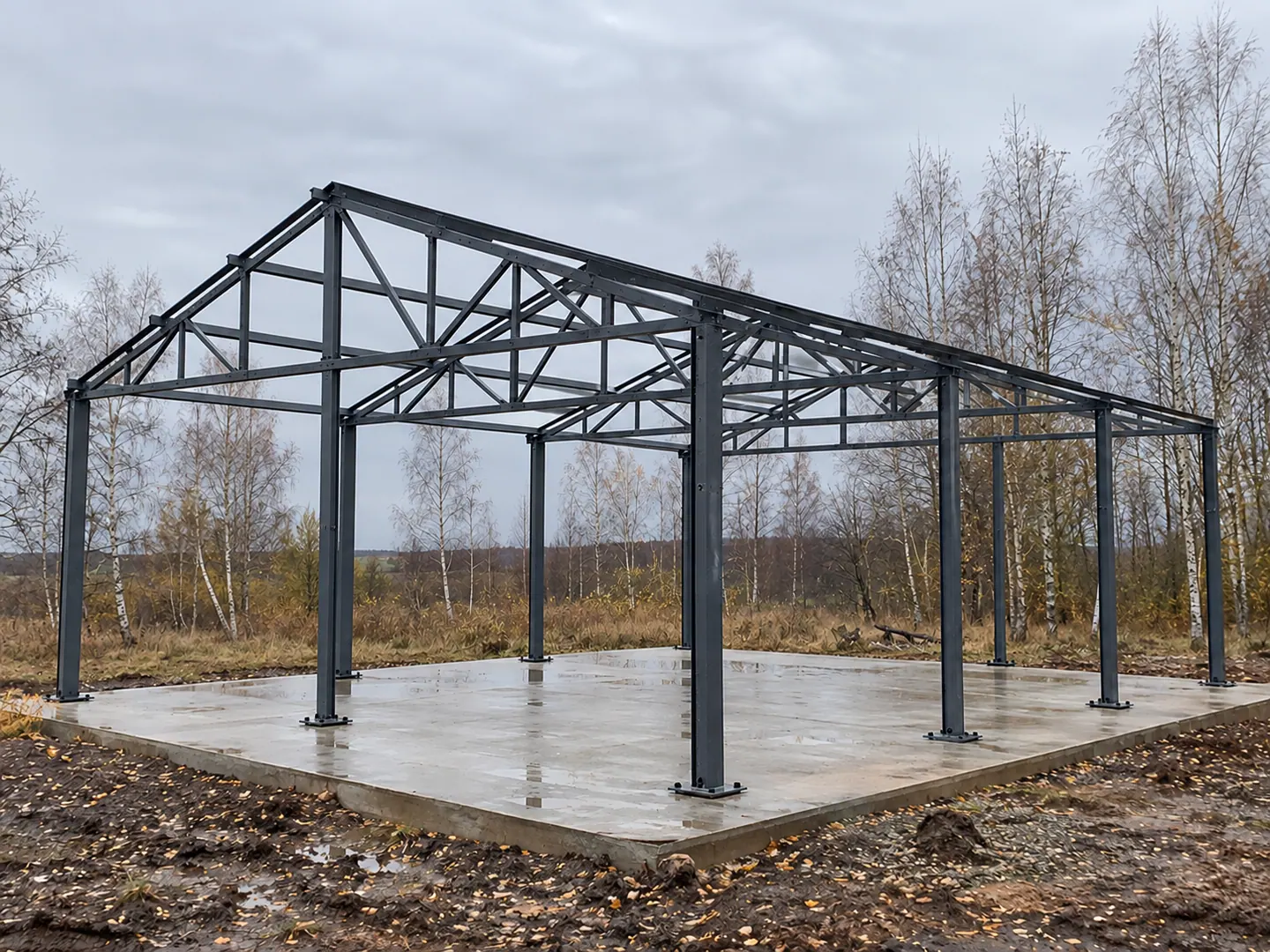Стандартный каркас шириной 8 м, визуализация 8 × 9 м · H 3 м